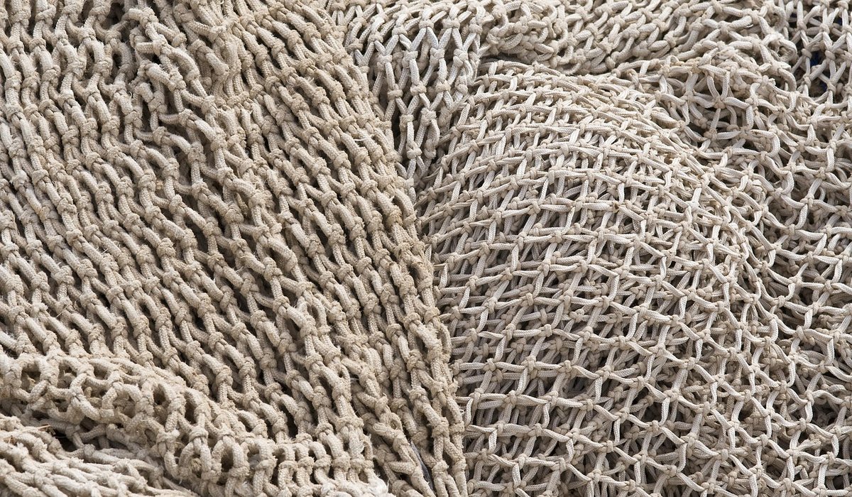 Basic Knots Every Coastal Homeowner Should Know